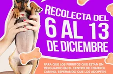 Colecta para centro de control caníno comunitario