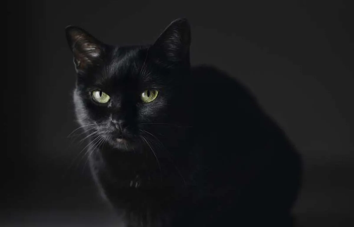 Viernes 13: ¿por qué se dice que es de mala suerte?