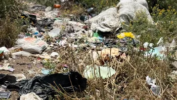 Predio en El Palmar vuelve a convertirse en basurero Clandestino