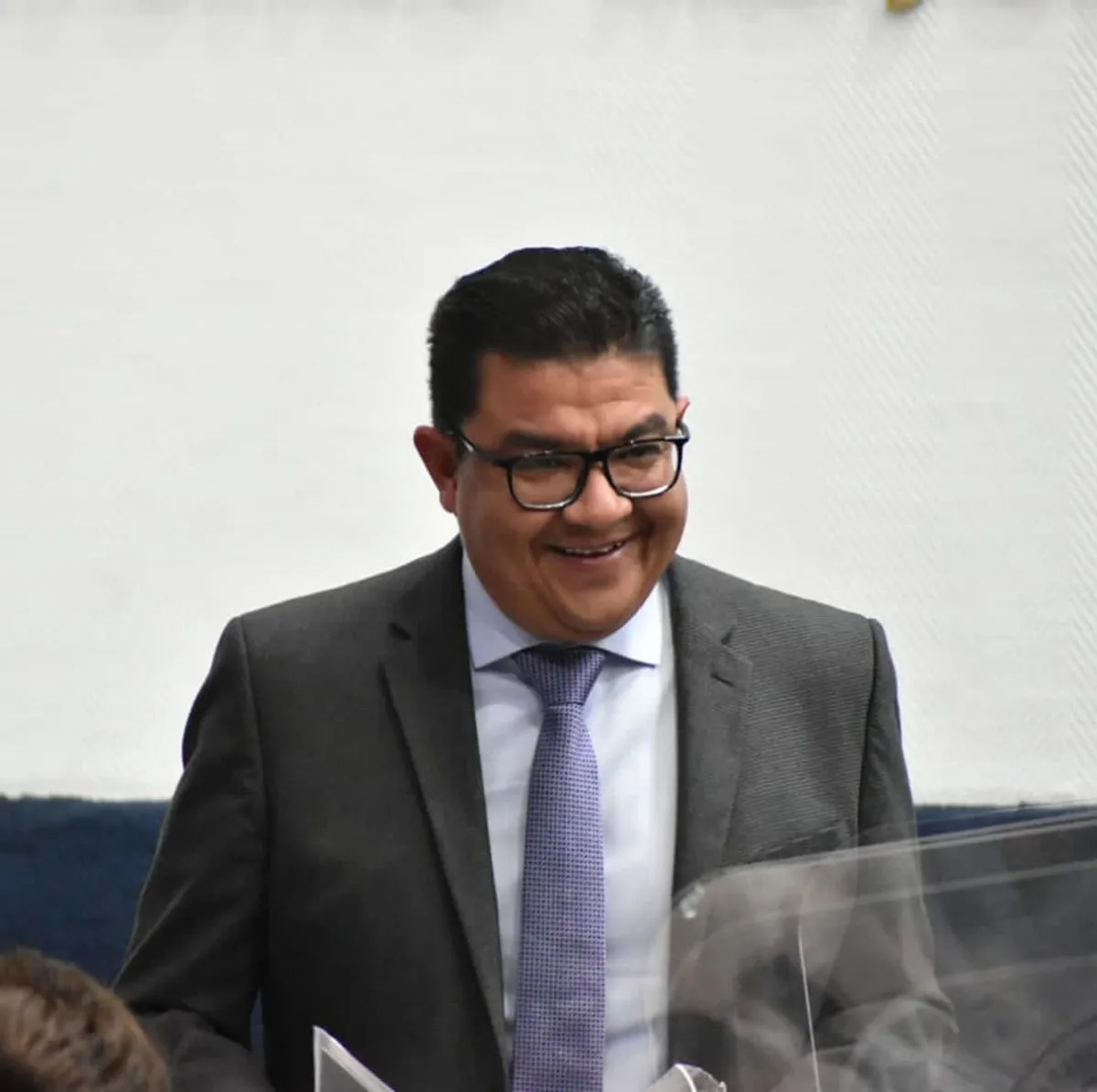 Partido Verde abierto a recibir a GPI: Magaña Soto