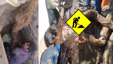 Trabajadores de Sapase extraen raíces que bloquearon el agua potable por 10 años en Ecatepec. FOTO: La Jornada