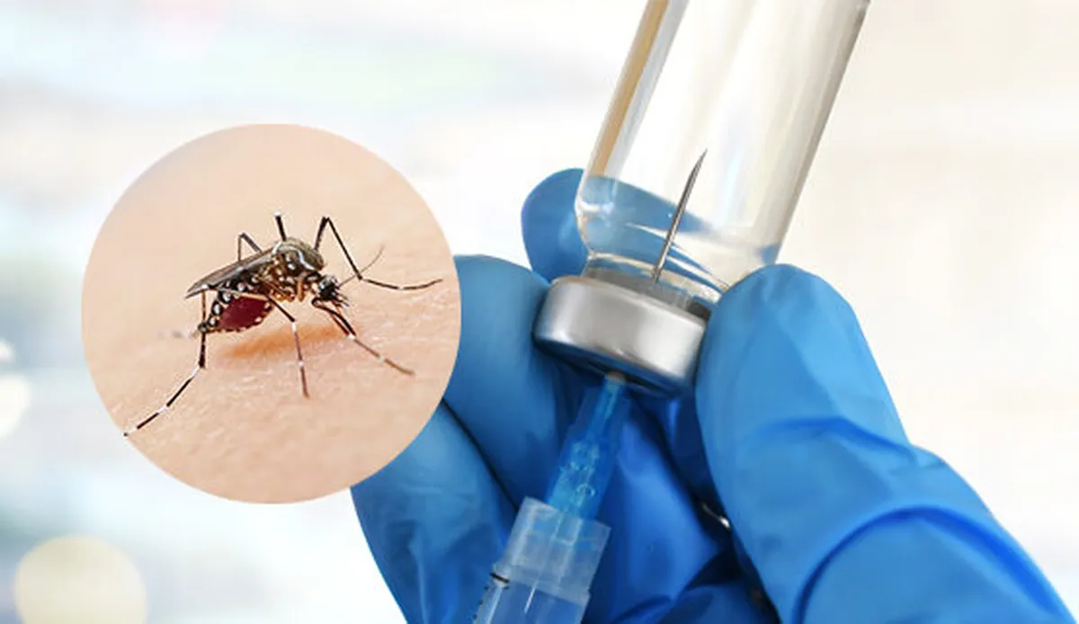 Cofepris aprueba vacuna contra el dengue en México; así funciona Qdenga