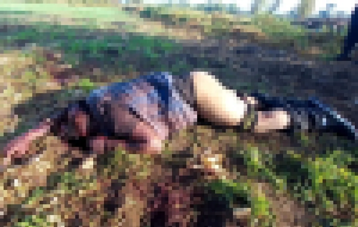 Hallan cadáver de hombre en un cultivo en Francisco I. Madero