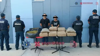 Decomiso de presunta marihuana en Ixmiquilpan