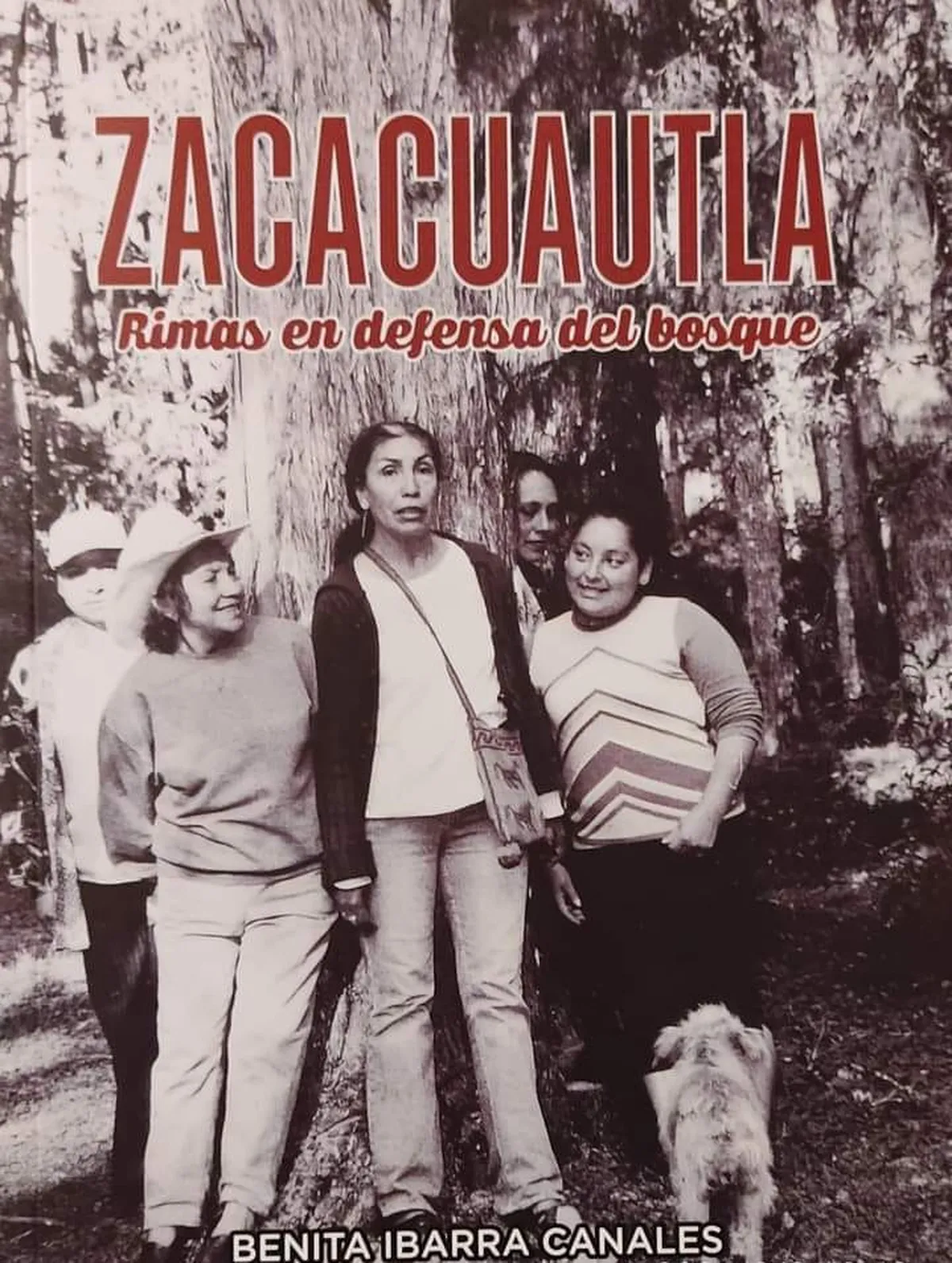 Presentan el libro “Zacacuautla Rimas en defensa del bosque” de Benita Ibarra