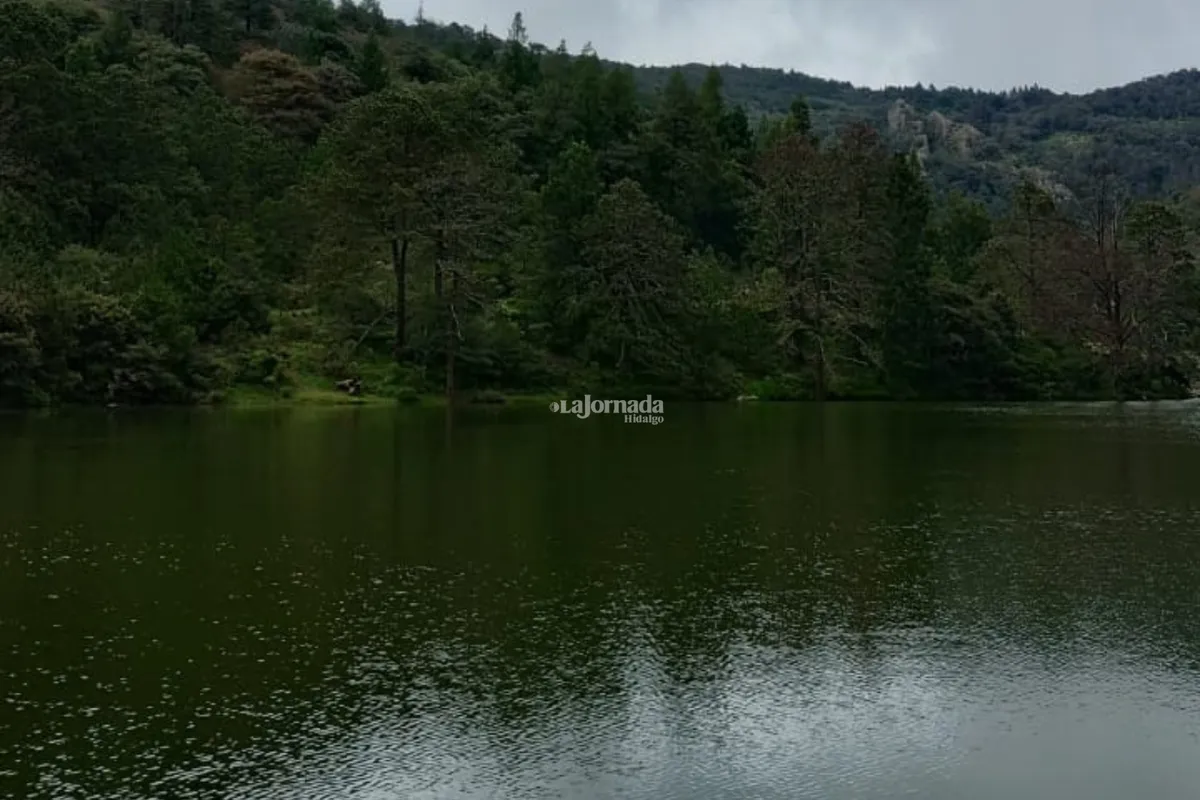 Una llamada al 911 movilizó a emergencias tras un posible ahogamiento en San Miguel el Cerezo.