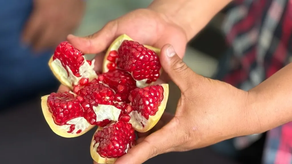 Granada de Tasquillo: el fruto hidalguense que busca una denominación de origen