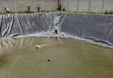 Rescatan a tres perritos que quedaron atrapados en una fosa de 8 metros en Hidalgo