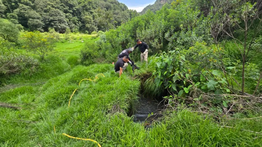 Rescatan a perrito que cayó a una fosa séptica en Omitlán