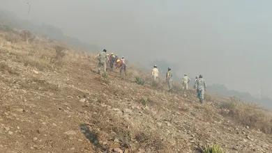 Brigadistas combaten incendio forestal