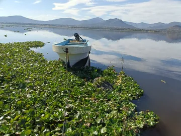 Presa Endhó
