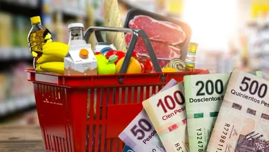 ¿Te alcanza o no? Ya revelaron qué trae la canasta básica y el precio actual está dando de qué hablar