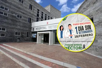 Paro Nacional de Veterinarios: catedráticos de la UAEH se unen al movimiento