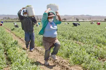 En vacaciones de verano se espera recibir a casi 17 mil migrantes hidalguenses