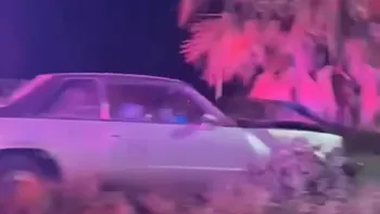 Vehículo accidentado tras impactarse contra una palmera en la carretera Pachuca–Actopan.