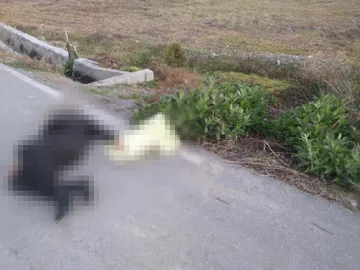 Hallan muerta a mujer trans en Ixmiquilpan con mensaje amenazante