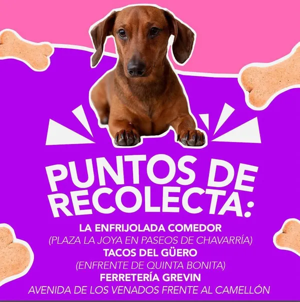 colecta para centro de control caníno comunitario