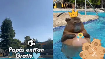 Familias disfrutan de las albercas de aguas termales del Balneario La Cruz en Tecozautla, Hidalgo.