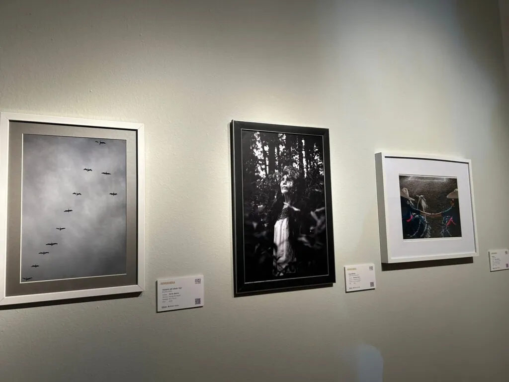 Festival Fuimos Todas 2025 reúne a mujeres artistas de todo Hidalgo