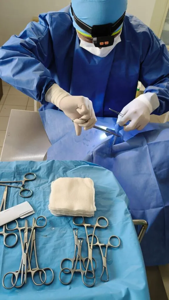 Rescatan a perro con agresión física en Mineral de la Reforma