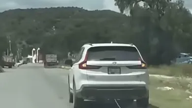 arrastran a perro en Zempoala