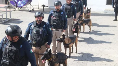 No solo buscan, también salvan: reconocen a los binomios K9 por su trabajo en seguridad y apoyo social