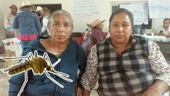 Doña Jose