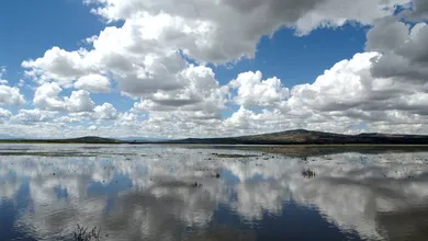 La restauración del río Tula sigue avanzando y ahora contempla una nueva protección para un emblemático espacio natural del estado. Te contamos los detalles.