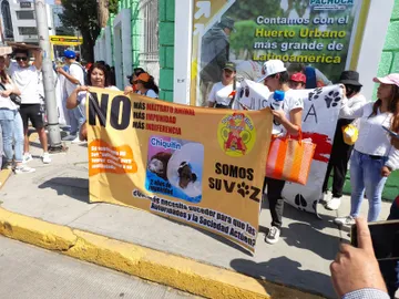 Denuncias por maltrato animal se quedan sin atención: colectivo