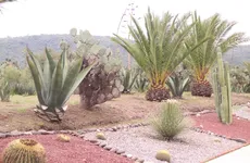 Cerro de Cubitos