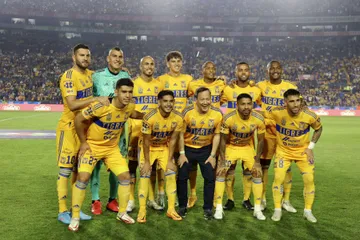 Tigres vs Pachuca: Rob Schneider apoya a los felinos ante Pachuca
