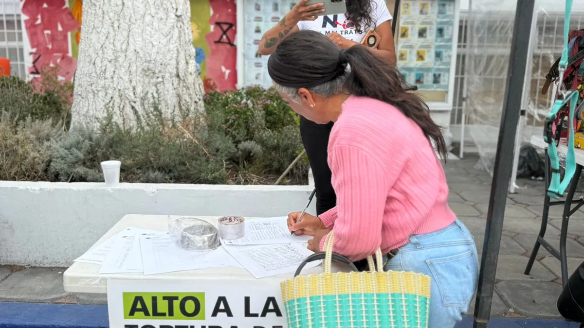 Activistas salen a las calles y lanzan campaña para terminar con la tauromaquia en Hidalgo