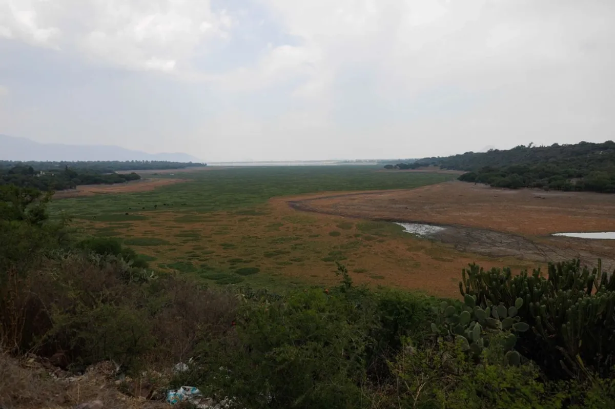 parque ecologico y de economia circular en Hidalgo