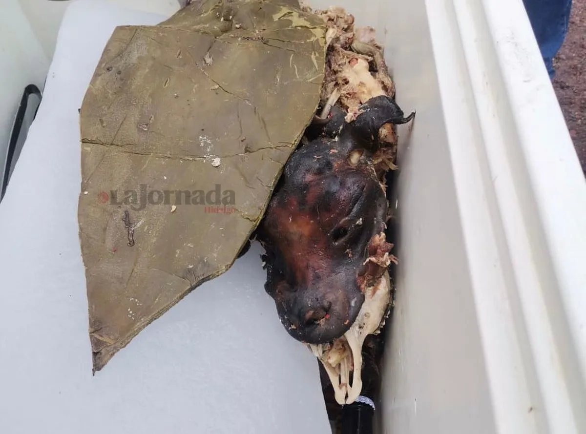 Tizayuca: puesto de barbacoa vende carne de perro