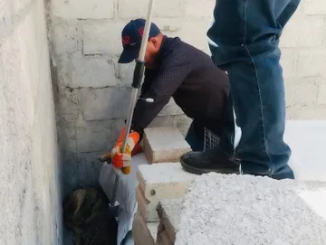 Un coyote quedó atrapado dentro de una casa en Tula y activó un operativo ambiental para su rescate
