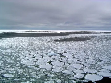 Deshielo de banquisa antártica multiplicó tormentas en océanos australes