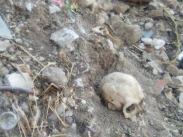 Buscaba un cable robado y terminó encontrando restos humanos en una barranca de Tula