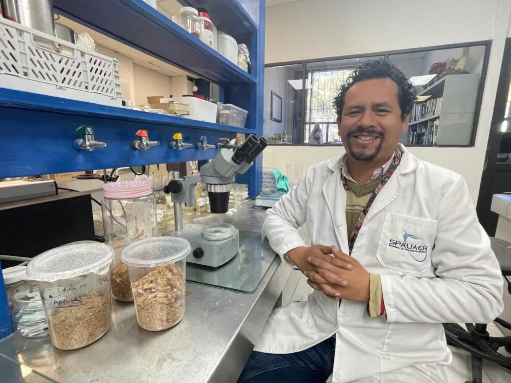 UAEH investiga pesticidas naturales para combatir moscos en la presa Endhó