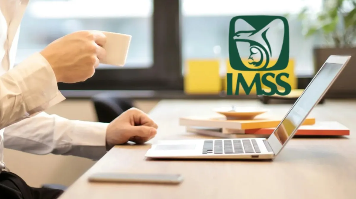 Consulta en línea o de forma presencial tu constancia de semanas cotizadas del IMSS y asegúrate de tener tu historial laboral al día.