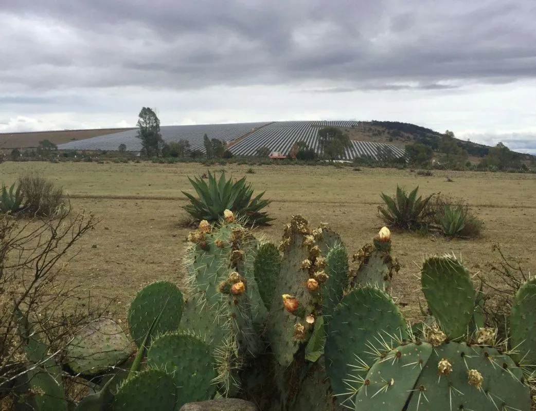 Mineral de la Reforma tiene el primer parque solar fotovoltaico 