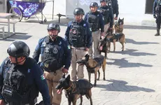 No solo buscan, también salvan: reconocen a los binomios K9 por su trabajo en seguridad y apoyo social