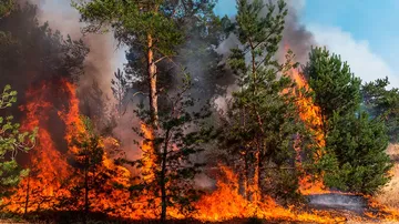 Emiten alerta de riesgo “extremo” por incendios forestales en Hidalgo