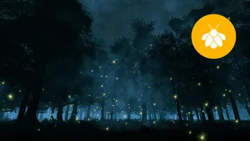 Descubre dónde ver luciérnagas cerca de CDMX: Tlatlauquitepec, el Pueblo Mágico de Puebla con naturaleza, cultura y aventura.
