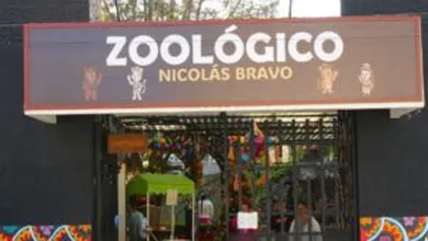 Zoologico de Tulancingo