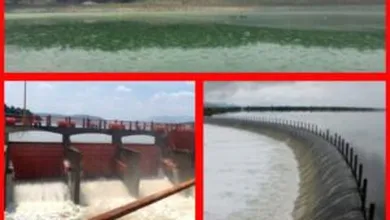 Presas en Hidalgo superan su capacidad