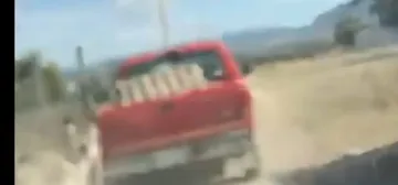 Omar Fayad ordena investigación y rescate por maltrato animal denunciado en video