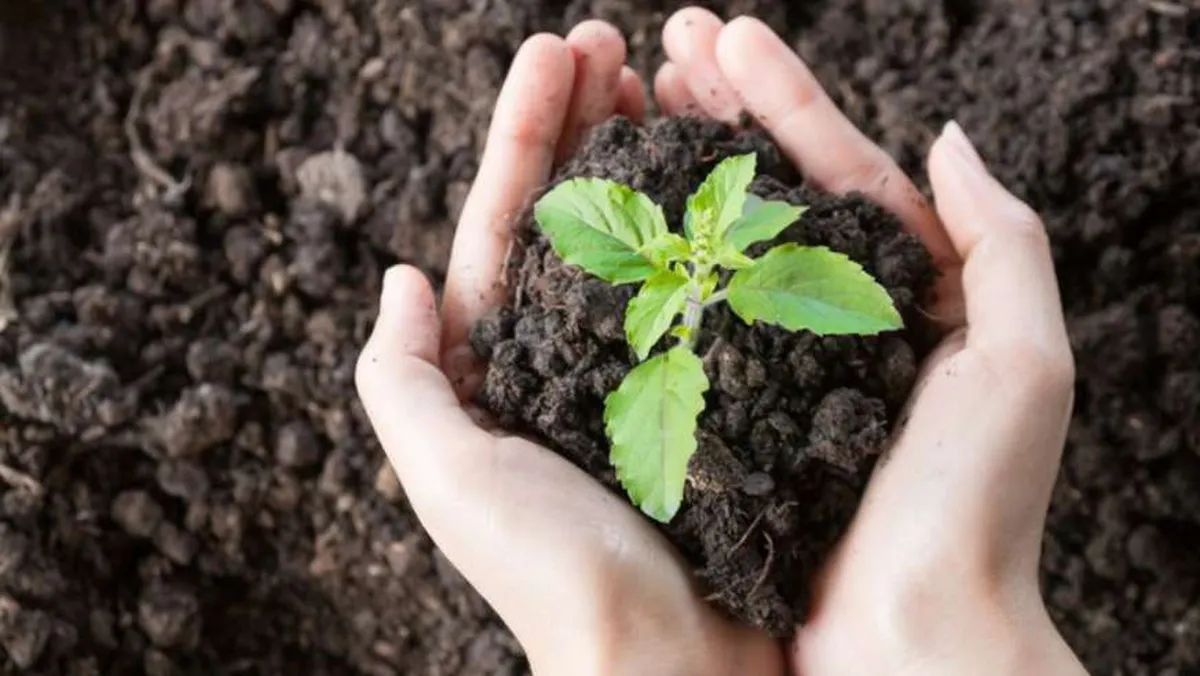 Llevan a cabo “Un Día por el Medio Ambiente” en Pachuca