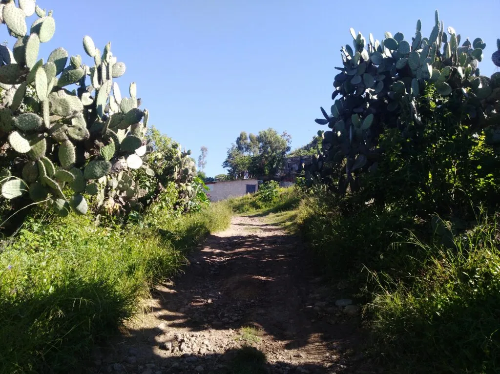 En Huapalcalco, la niñez vive entre vestigios arqueológicos y carencias básicas
