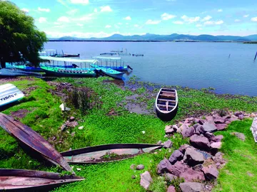 Limpieza de laguna de Tecocomulco avanza en un 75%