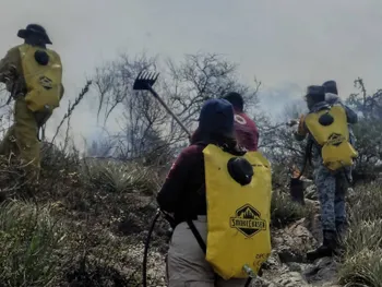 El fuego avanzó durante todo el día, pero fue contenido antes de llegar a zonas habitadas. Esto se sabe del incendio